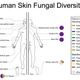 Illustration for article titled This Fungus Is Growing All Over Your Body